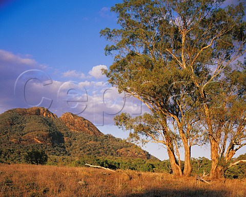 Belougery Split Rock in Warrumbungle National Park   New South Wales  Australia