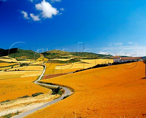 Barley fields and vineyard with wind turbines on the   ridge beyond Aorbe Spain  Navarra
