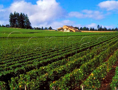 Vineyards and winery of Domaine Drouhin Dundee   Oregon USA  Willamette Valley AVA