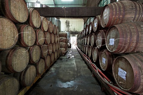 Barrels of Madeira wine maturing in the cellars of   Henriques  Henriques Ribeira do Escrivao Quinta   Grande Madeira Portugal