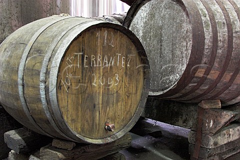Barrel of Terrantez Madeira wine maturing in the   cellars of Henriques  Henriques Ribeira do   Escrivao Quinta Grande Madeira Portugal