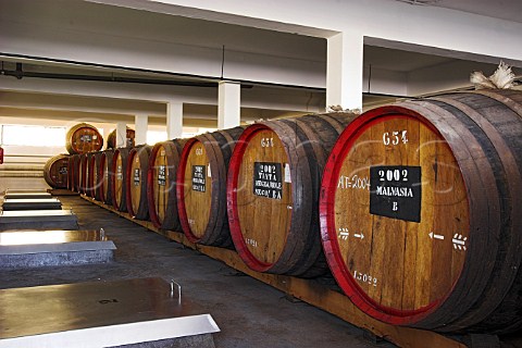Barrels of Madeira wine maturing by the natural   Canteiro process in a loft of the Madeira Wine   Company Mercs Funchal Madeira Portugal