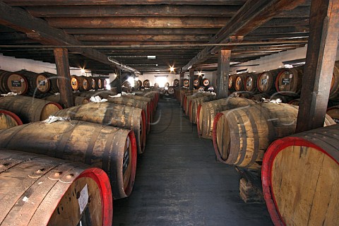 Barrels of vintage wine maturing by the natural   Canteiro process in a loft of the Old Blandy Wine   Lodge Arcadas de So Francisco part of the Madeira   Wine Company Funchal Madeira Portugal