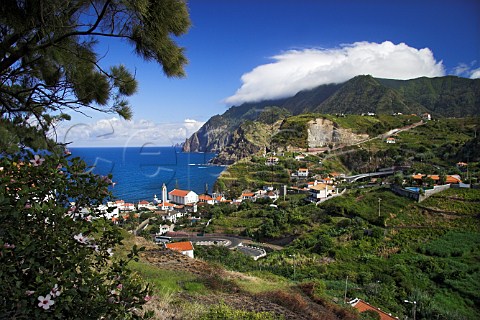 Vineyards and rocky coastline at Porto da Cruz    Madeira Portugal