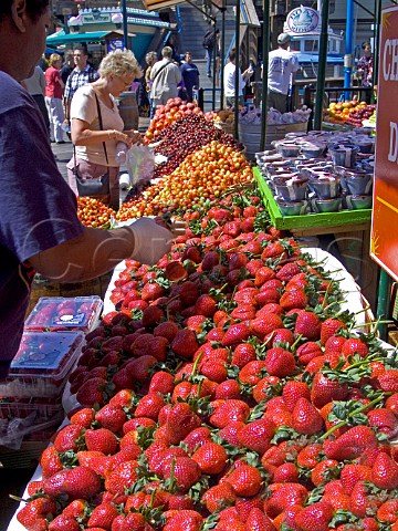 Large freshly picked strawberries and fruit on sale   at Fishermans Wharf San Francisco USA
