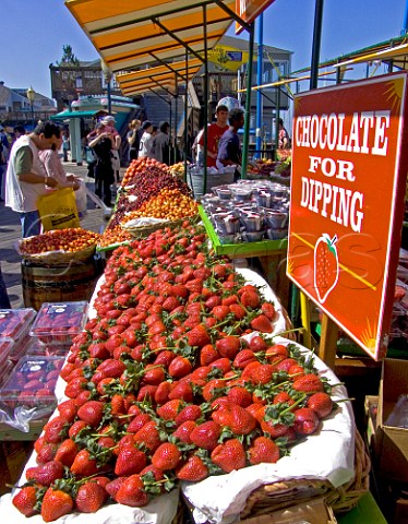 Large freshly picked strawberries on sale at   Fishermans Wharf San Francisco USA