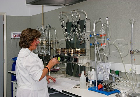 Laboratory at Mercs winery of the Madeira Wine   Company Funchal Madeira Portugal