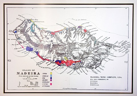 Old map hanging in the Mercs winery showing wine regions on the Island  Madeira Wine Company  Funchal   Madeira Portugal