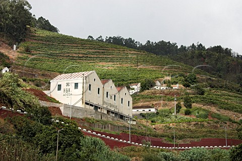 Winery of Henriques  Henriques at Ribeira do   Escrivao beneath their 10 Hectare vineyard of mainly   with Verdelho vines  Quinta Grande Madeira   Portugal