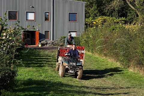 Taking empty grape crates to the pickers RidgeView   vineyard Ditchling Common East Sussex England