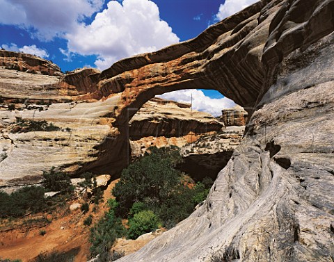 Sipape Natural Bridge spans 268 feet and is 220 feet   high making it one of the largest natural spans in   the world  Natural Bridges National Monument Utah   USA