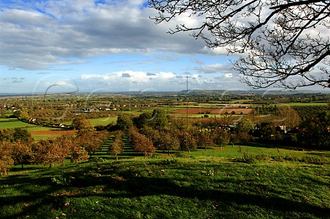 View from Burrow Hill over orchard of the Somerset   Cider Brandy Company to the Somerset Levels in the   distance   Kingsbury Episcopi Somerset England