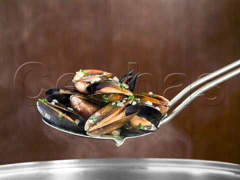 Moules Marinires mussels cooked in wine