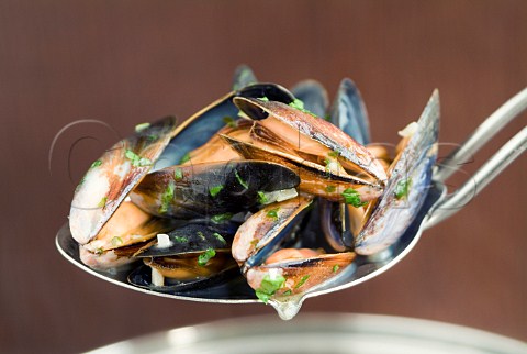 Moules Marinires mussels cooked in wine