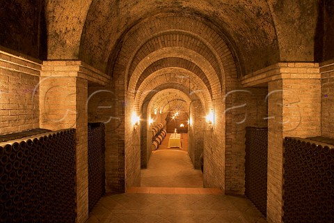 Barrel and bottle cellar of Russiz Superiore winery   of Marco Felluga Capriva del Friuli Friuli Italy    Collio Goriziano