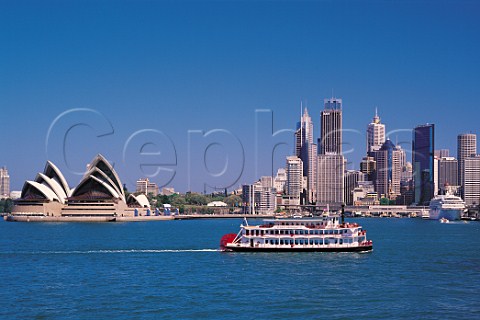 Sydney harbour and skyline viewed from Kirribilli   New South Wales Australia