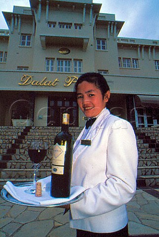 Wine waitress with imported French wine   Vietnam