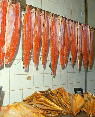Sides of Scottish salmon drying after they have been   salted and rinsed before they are smoked Sides of   smoked haddock are on table below AHJarvis and   Sons Kingston upon Thames Surrey