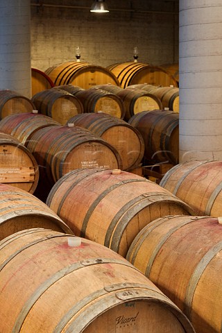 Barrels of Barbera dAlba in cellar of Vini Boroli   Madonna di Como near Alba Piemonte Italy