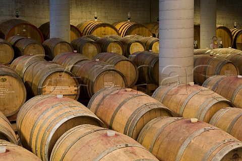 Barrels of Barbera dAlba in cellar of Vini Boroli   Madonna di Como near Alba Piemonte Italy