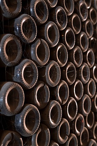 Bottles ageing in the bottle cellars of Giacomo   Borgogno Barolo Piedmont Italy  Barolo