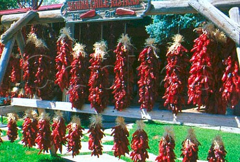 Strings of chillies at Sedona gift shop   Arizona USA