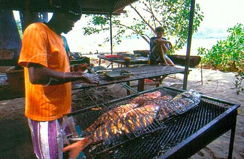 Grilling local fish on a barbeque   Ile Curieuse Seychelles Indian Ocean