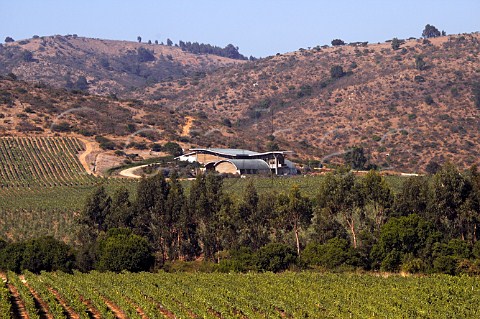 GarcesSilva winery and vineyards Leyda Chile    San Antonio Valley