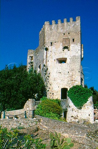 RoquebruneCapMartin castle   AlpesMaritimes France
