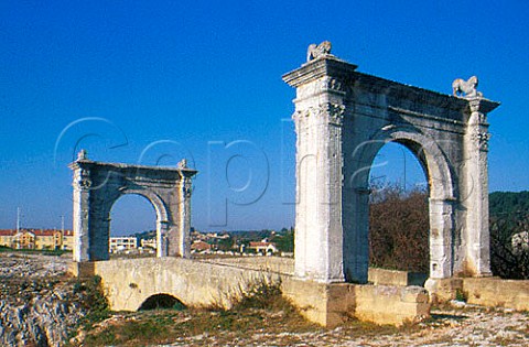 Pont Flavien Roman bridge with   triumphal arches as gateways StChamas   BouchesduRhne France