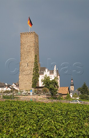 Castle ruins overlooking Rosengarten vineyard   Rdesheim Germany   Rheingau