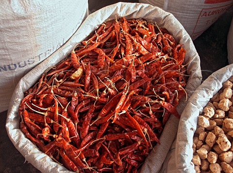 Dried red chillies for sale Chennai Madras India