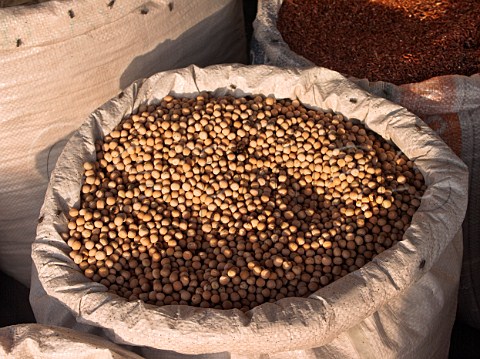Soya beans for sale Chennai Madras India