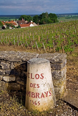 Stone pillar marking the Clos des Lambrays vineyard   MoreyStDenis Cte dOr France   Cte de Nuits   Grand Cru