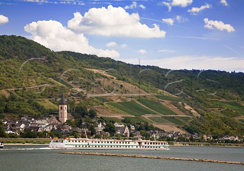 Seligmacher vineyard above Lorchhausen and the   Rhine Germany Rheingau
