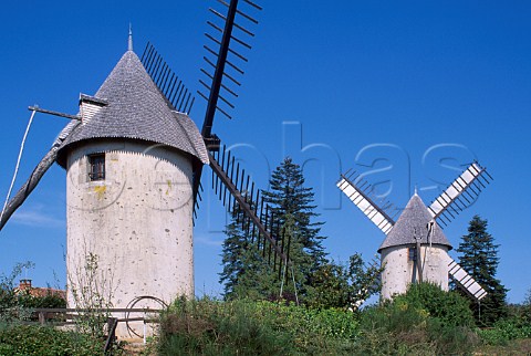 Moulins de TerrierMarteau Pouzauges   Vende Pays de la Loire France