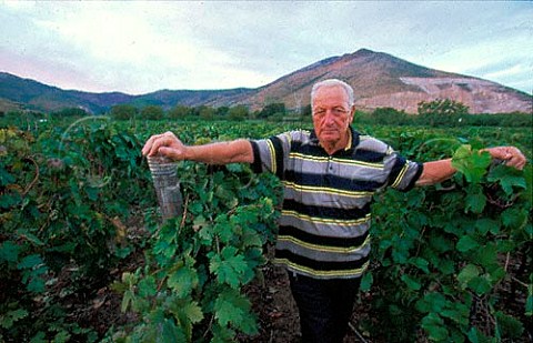 Bruno Moio in his vineyards with the volcano Monte Mssico beyond Mondragone Campania Italy