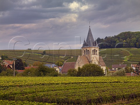 Vineyards surround the village and church of   VilleDommange on the Montagne de Reims Marne   France  Champagne