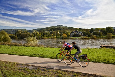 Cyclists on a dedicated cycle way near   BernkastelKues Mosel valley Germany