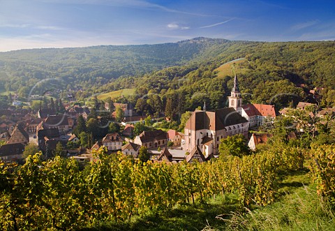 Benedictine abbey seen from the Kastelberg Grand Cru vineyard Andlau BasRhin France  Alsace