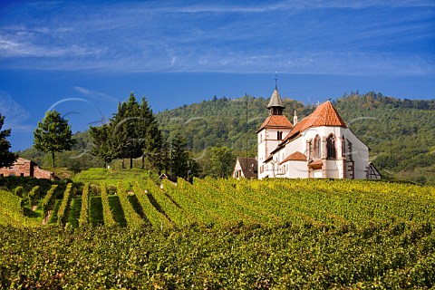 Chapelle StSbastien surrounded by Frankstein   vineyard DambachlaVille BasRhin France    Alsace