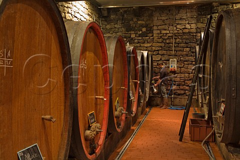 Barrel cellar at Domaine Marcel Deiss Bergheim   HautRhin France  Alsace