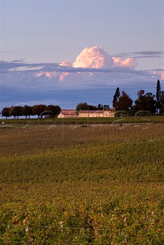 Chteau Trottevieille at sunset viewed over vineyard   of Chteau TroplongMondot  Saintmilion Gironde   France  Stmilion  Bordeaux