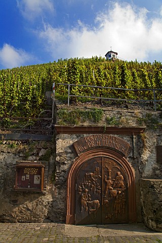 Decorative cellar doors of Ww H Thanisch below the   Doktor vineyard Bernkastel Germany  Mosel