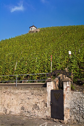 Sign for Dr H Thanisch over entrance to the Doktor   vineyard Bernkastel Germany  Mosel
