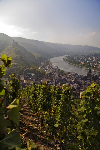 The Doctor vineyard above BernkastelKues and the   Mosel river Germany  Mosel