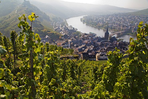 The Doctor vineyard above BernkastelKues and the   Mosel river Germany  Mosel