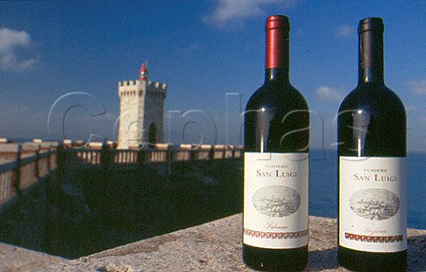 Bottles of Fidensio and Sangioveto wine from Podere San Luigi Piombino Maremma Tuscany Italy  Val di Cornia
