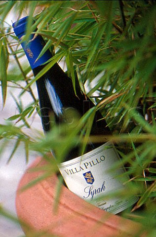 Bottle of Villa Pillo syrah wine Gambassi Terme Tuscany Italy  Chianti Putto