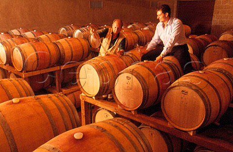 Adolfo and Giulio Parentini in their barrel cellar at Moris Farms Maremma Tuscany Italy   Monteregio di Massa Marittima
